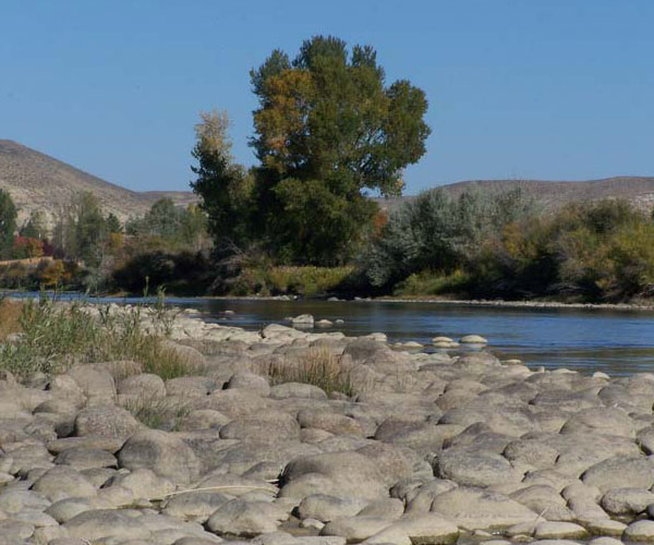 beartooth_river_ranch-2