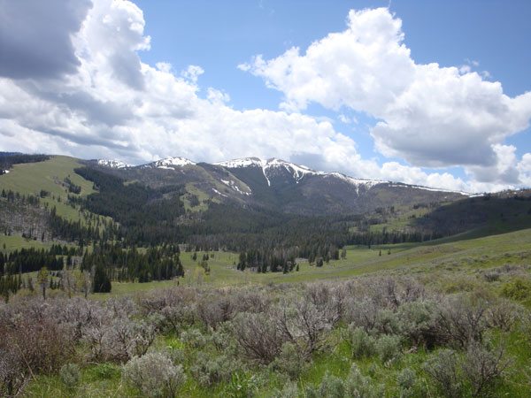 beartooth_river_ranch-8